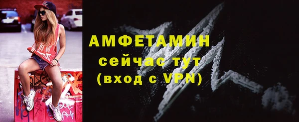 твердый Абаза