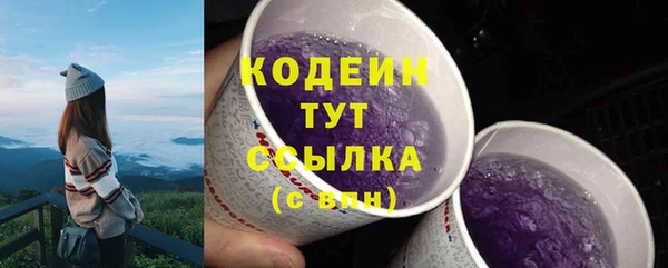 твердый Абаза
