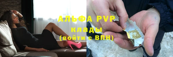 твердый Абаза