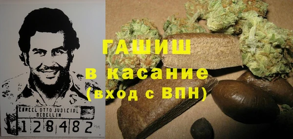 твердый Абаза