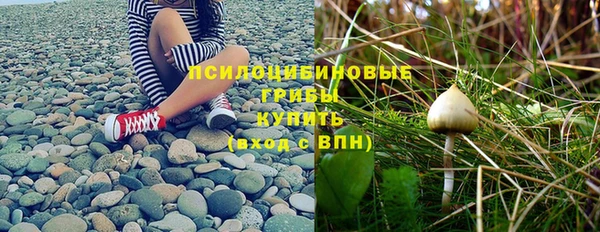 твердый Абаза
