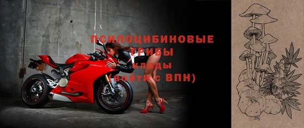 твердый Абаза
