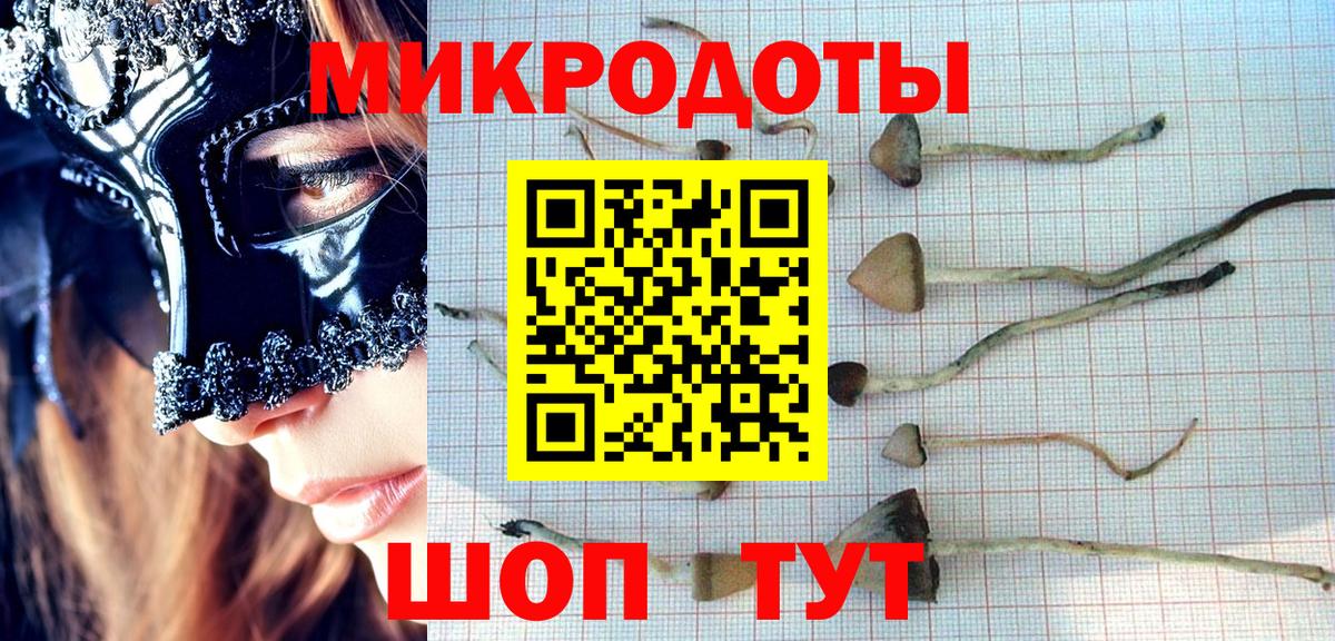Абинск  Галлюциногенные грибы Psilocybine cubensis  Вход с VPN 
